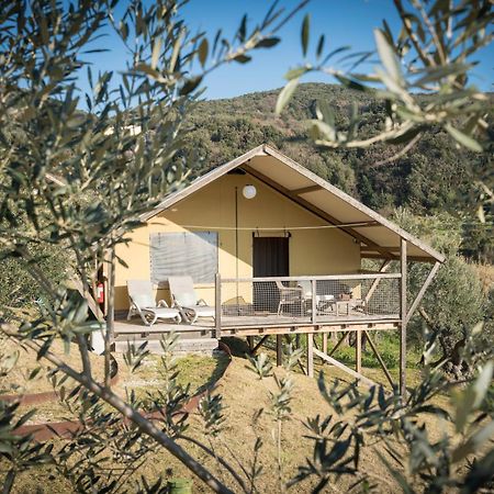 Glamping Tuscany - Podere Cortesi Santa Luce Buitenkant foto